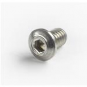 Captured Stainless Guiderod Replacement Screw